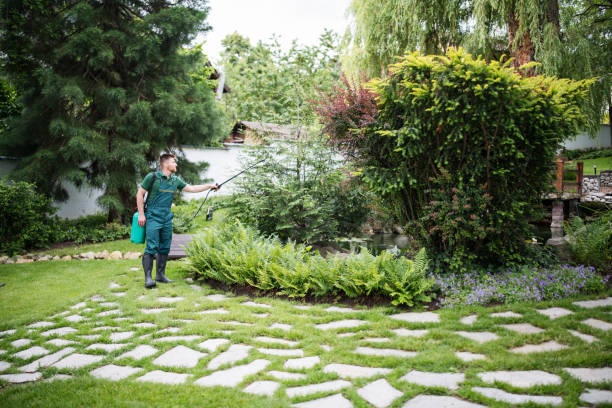 Best Pest Control Near Me in Windsor, PA