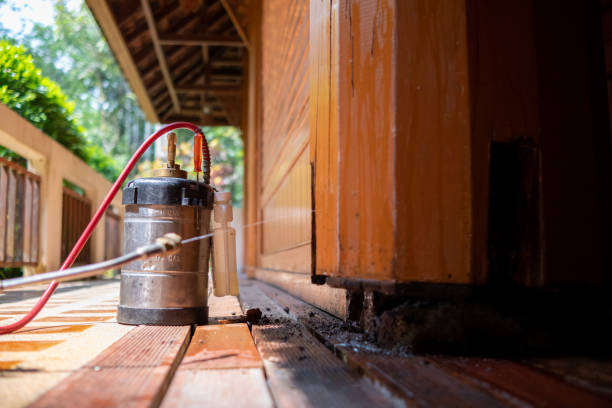 Best Termite Control Services  in Windsor, PA